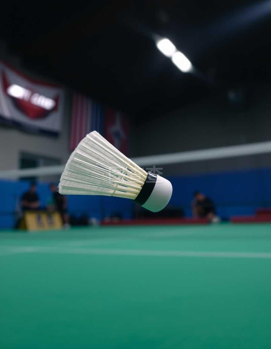 文的合同 文的合同